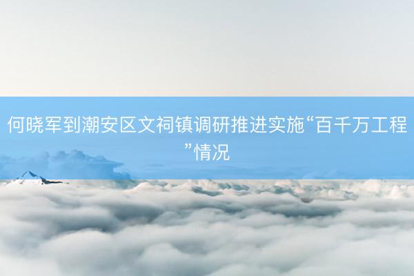 何晓军到潮安区文祠镇调研推进实施“百千万工程”情况