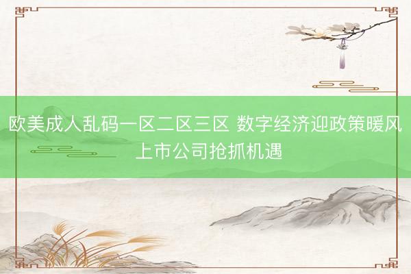 欧美成人乱码一区二区三区 数字经济迎政策暖风 上市公司抢抓机遇