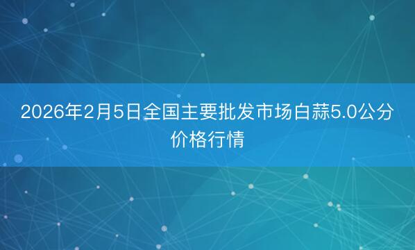 2026年2月5日全国主要批发市场白蒜5.0公分价格行情