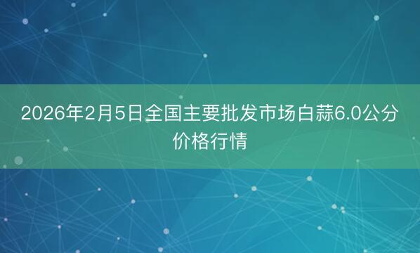 2026年2月5日全国主要批发市场白蒜6.0公分价格行情