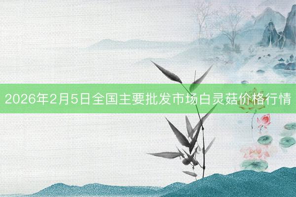 2026年2月5日全国主要批发市场白灵菇价格行情