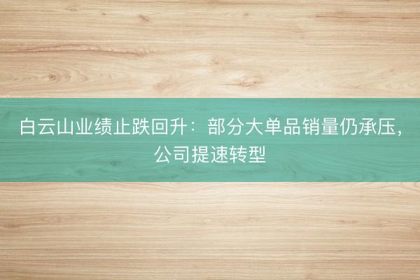 白云山业绩止跌回升：部分大单品销量仍承压，公司提速转型
