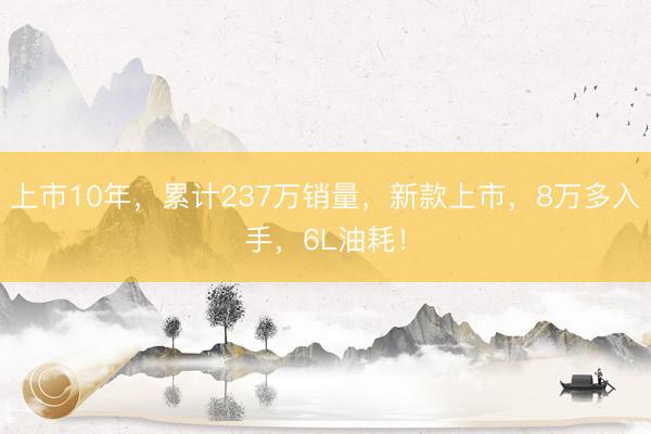 上市10年，累计237万销量，新款上市，8万多入手，6L油耗！