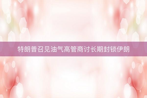 特朗普召见油气高管商讨长期封锁伊朗