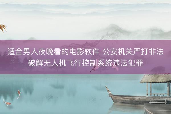 适合男人夜晚看的电影软件 公安机关严打非法破解无人机飞行控制系统违法犯罪