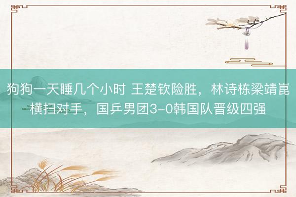 狗狗一天睡几个小时 王楚钦险胜，林诗栋梁靖崑横扫对手，国乒男团3-0韩国队晋级四强