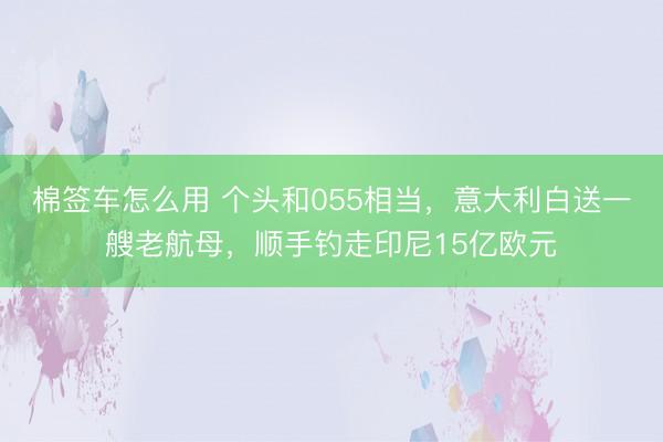 棉签车怎么用 个头和055相当,意大利白送一艘老航母,顺手钓走印尼15亿欧元