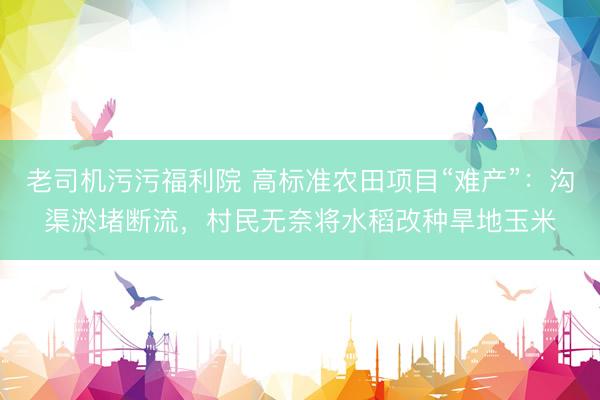 老司机污污福利院 高标准农田项目“难产”：沟渠淤堵断流，村民无奈将水稻改种旱地玉米