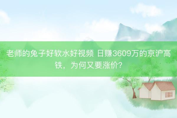 老师的兔子好软水好视频 日赚3609万的京沪高铁，为何又要涨价？