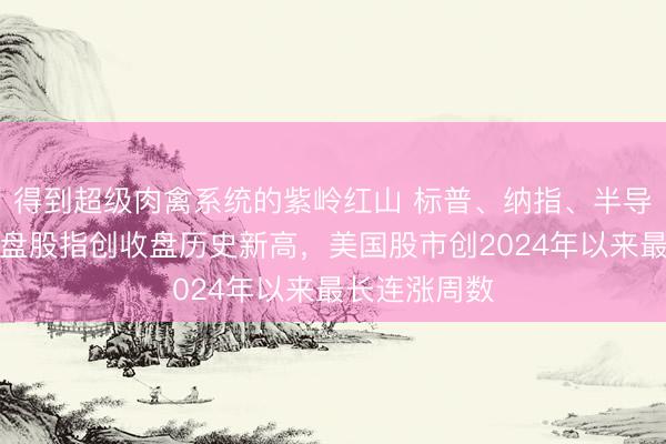 得到超级肉禽系统的紫岭红山 标普、纳指、半导体指数、小盘股指创收盘历史新高,美国股市创2024年以来最长连涨周数