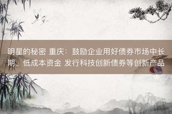 明星的秘密 重庆：鼓励企业用好债券市场中长期、低成本资金 发行科技创新债券等创新产品