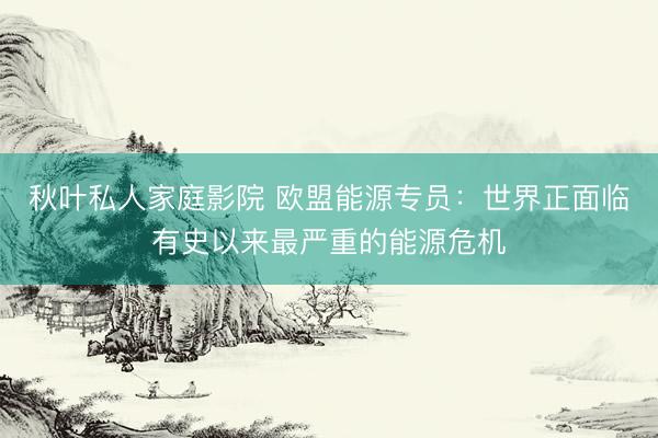 秋叶私人家庭影院 欧盟能源专员：世界正面临有史以来最严重的能源危机