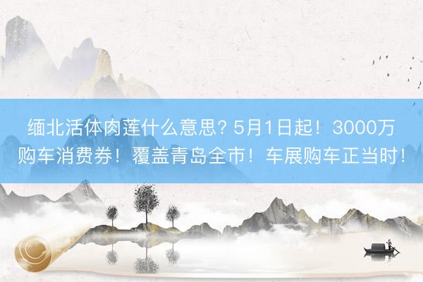 缅北活体肉莲什么意思? 5月1日起！3000万购车消费券！覆盖青岛全市！车展购车正当时！