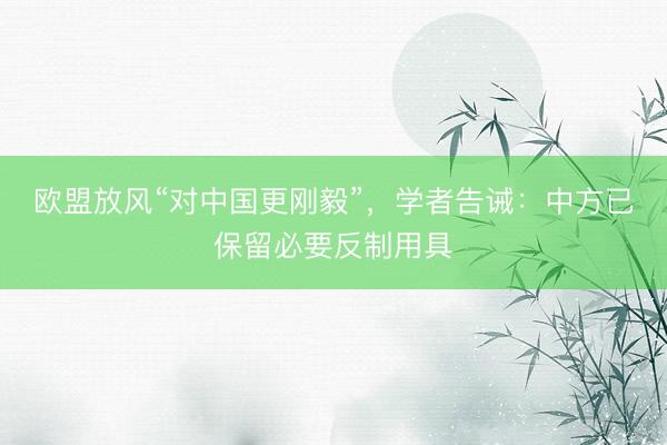 欧盟放风“对中国更刚毅”，学者告诫：中方已保留必要反制用具
