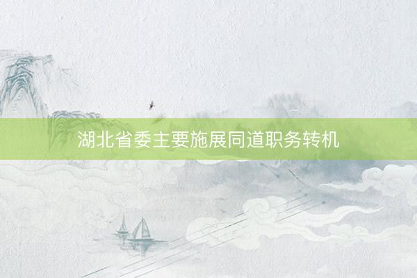 湖北省委主要施展同道职务转机