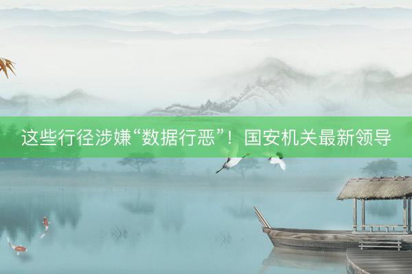 这些行径涉嫌“数据行恶”！国安机关最新领导