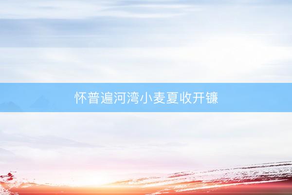 怀普遍河湾小麦夏收开镰