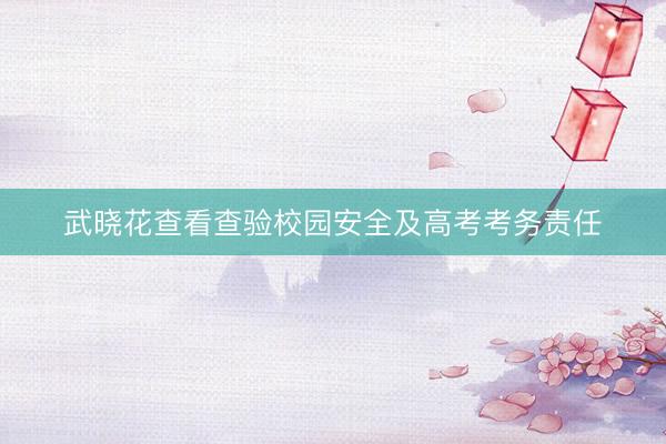 武晓花查看查验校园安全及高考考务责任