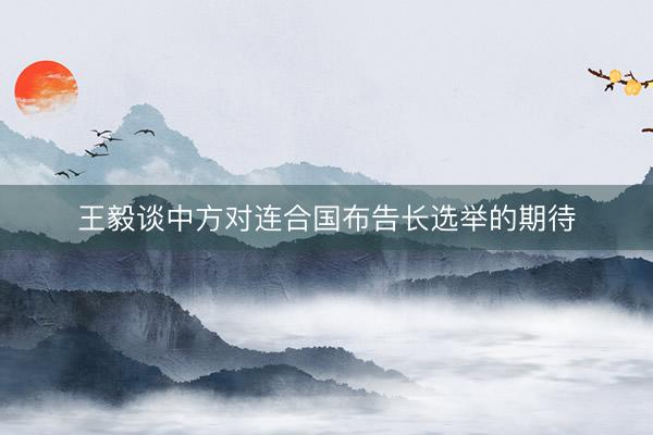王毅谈中方对连合国布告长选举的期待