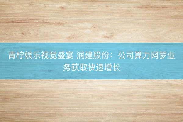 青柠娱乐视觉盛宴 润建股份：公司算力网罗业务获取快速增长