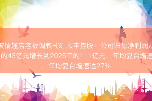 被情趣店老板调教H文 顺丰控股：公司归母净利润从2021年的43亿元增长到2025年的111亿元，年均复合增速达27%