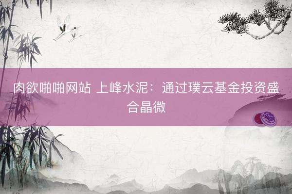 肉欲啪啪网站 上峰水泥：通过璞云基金投资盛合晶微