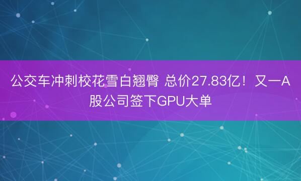 公交车冲刺校花雪白翘臀 总价27.83亿！又一A股公司签下GPU大单