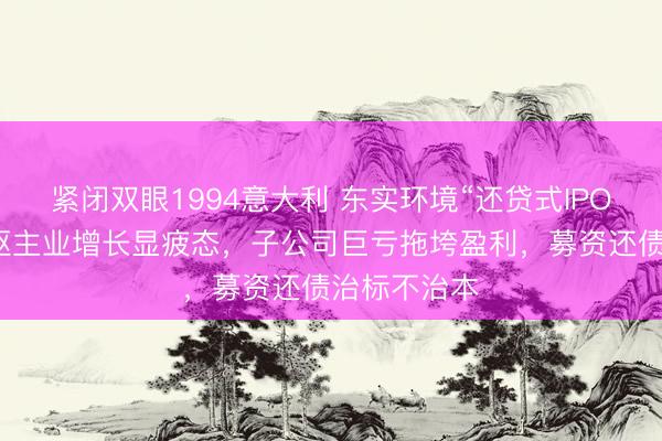 紧闭双眼1994意大利 东实环境“还贷式IPO”困境：中枢主业增长显疲态，子公司巨亏拖垮盈利，募资还债治标不治本