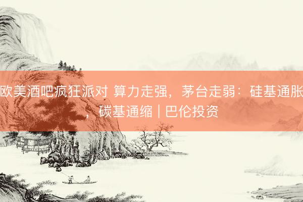 欧美酒吧疯狂派对 算力走强，茅台走弱：硅基通胀，碳基通缩 | 巴伦投资