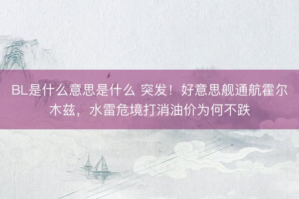 BL是什么意思是什么 突发!好意思舰通航霍尔木兹,水雷危境打消油价为何不跌