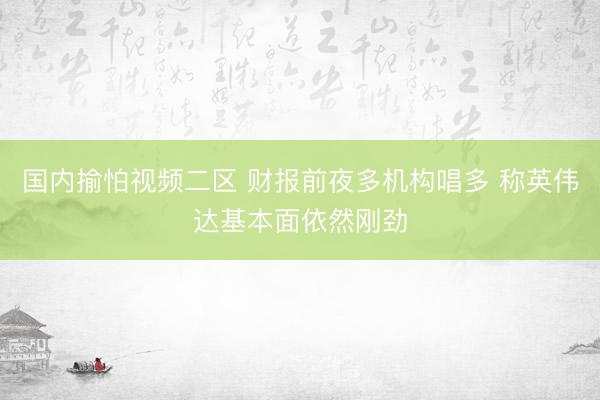 国内揄怕视频二区 财报前夜多机构唱多 称英伟达基本面依然刚劲