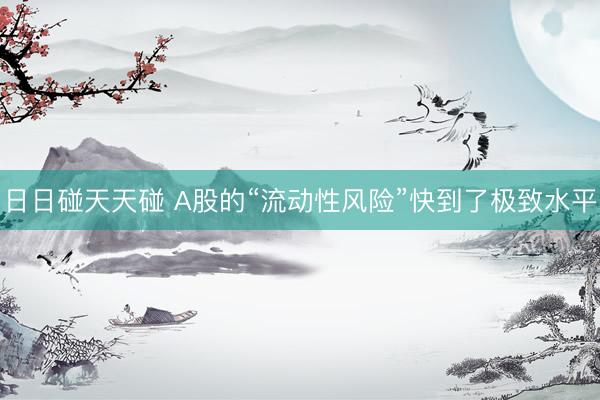 日日碰天天碰 A股的“流动性风险”快到了极致水平
