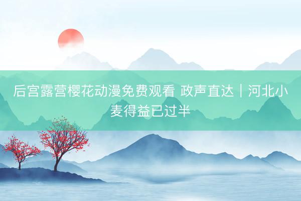 后宫露营樱花动漫免费观看 政声直达｜河北小麦得益已过半