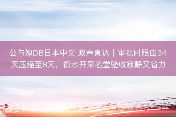 公与媳DB日本中文 政声直达｜审批时限由34天压缩至8天，衡水开采名堂验收寂静又省力