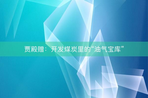 贾殿赠：开发煤炭里的“油气宝库”