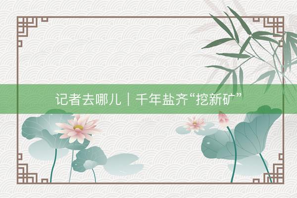 记者去哪儿｜千年盐齐“挖新矿”