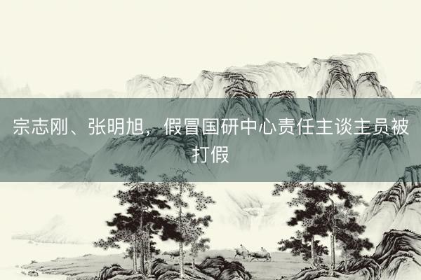 宗志刚、张明旭,假冒国研中心责任主谈主员被打假