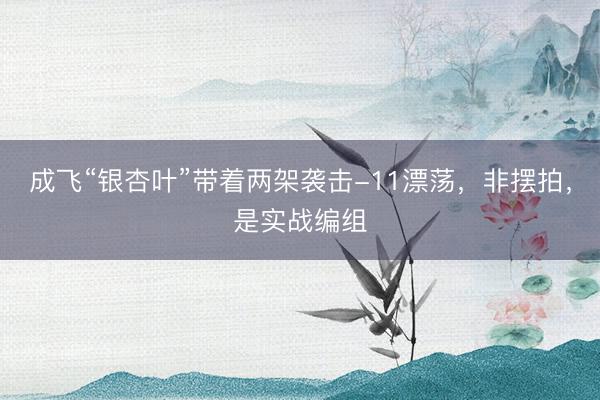 成飞“银杏叶”带着两架袭击-11漂荡，非摆拍，是实战编组