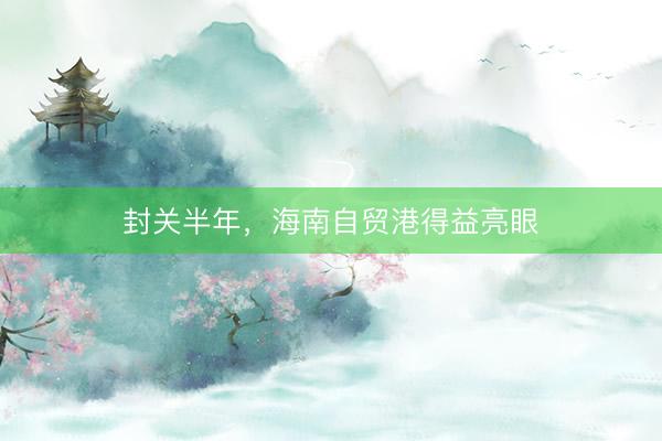 封关半年，海南自贸港得益亮眼